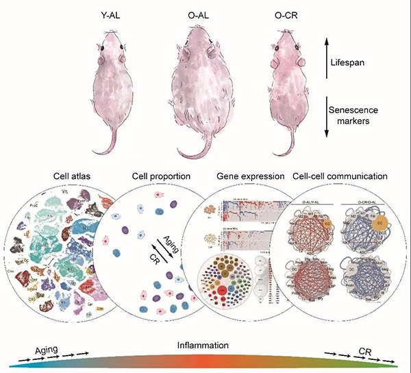 1614560276622049443.jpg 1614560276622049443.jpg